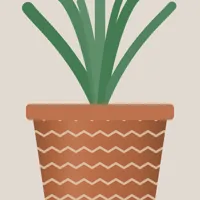 Molela Terracotta Planter